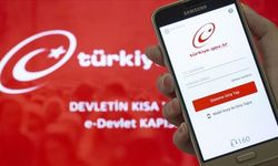 e-Devlet Kapısı'nın 17. kuruluş yılına ilişkin açıklama
