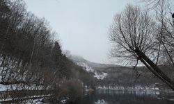 Karagöl'de kar yağışı büyüledi!