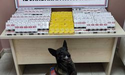 Kayseri’de Tırdan 630 Paket Kaçak Sigara Çıktı