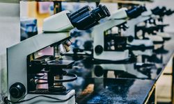 Kişiye Özel Tedavide Türkiye-Avrupa İşbirliği Başlıyor!