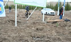 Şehit mühendis Zahide Güçlü Ekici için AOÇ’de 500 fidan dikildi