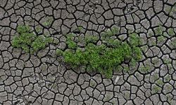 Toprak ile su kaybı, geleceği tehdit ediyor