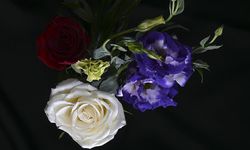 Yılbaşında Türkiye’den Dünyaya Çiçek Yağmuru