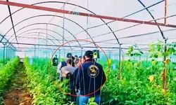 34 yıl hapisle aranan cinayet hükümlüsü yakalandı!