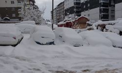 Bitlis'te kapanan 203 köy yolu açıldı