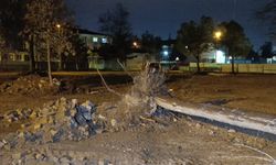 Bursa'da kuvvetli rüzgar nedeniyle ağaç devrildi