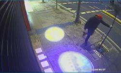 Direkleri tekmeleyip, ağaçlara zarar verdi!