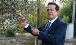 Dünyanın en sağlıklı zeytinyağısı Antalya'da!