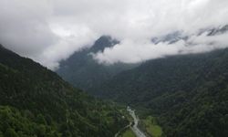 ‘İklim değişikliğiyle mücadele en etkin silah ormanlar’