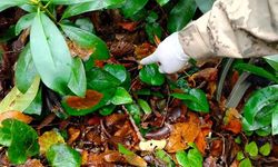 Kastamonu'da Anne ve Oğlunun Ölüm Nedeni Hipotermi Çıktı