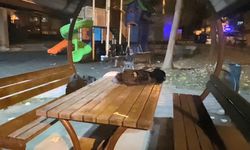 Kocaeli'de liise öğrencileri arasında parkta bıçaklı kavga çıktı