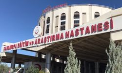 Merf Asaf bebeğin cinsiyetini kız olarak yazdılar!