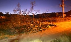 Mersin'de şiddetli rüzgar evin çatısını uçurdu