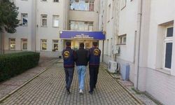 Mudanya’da 1,2 Milyonluk Tiny House Hırsızlığı