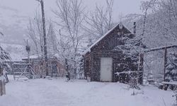 Ordu beyaza büründü