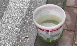 Pİzza dükkanına silahlı saldırı