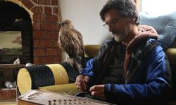 Tedavi edip doğaya bırakmıştı, geri döndü!