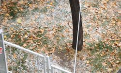 Van'da dolu yağışı etkili oldu