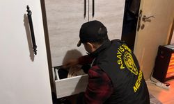 Yabancı uyruklu kadınları fuhşa zorlayan şebekeye operasyon