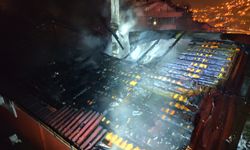 Zonguldak’ta yangında mahsur kalan papağan kurtarıldı