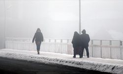 Ardahan'da kar yağışı etkili oldu