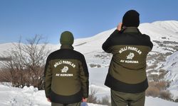 Hakkâri’de Yasa Dışı Avcılığa 956 Bin TL Ceza