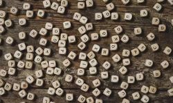 TDK 2025’in Kelimesi İçin Oylama Başlattı!