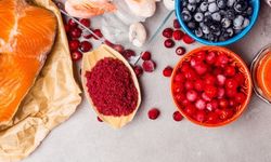 Karides ve Somon Ömrü Yüzde 12 Uzatıyor Olabilir!