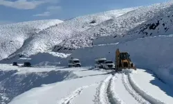 Muş’ta Kar Alarmı: 333 Köy Yolu Kapalı