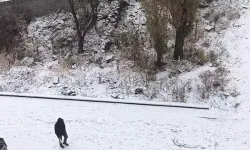 Kars'a mevsimin ilk karı düştü