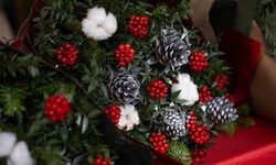 Kokina Çiçeği Her Sene Neden Alınır, Ne Anlama Gelir?