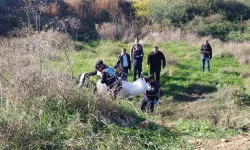 Manavgat'ta erkek cesedi bulundu