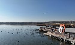 Gölbaşı'nda Gezilecek Yerler ve Göl Rehberi