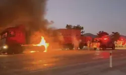 Muğla'da tuğla yüklü TIR yandı