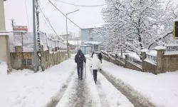 Van'da kar yağışı sebebiyle yollar kapandı
