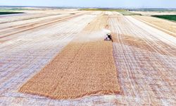 TZD Başkanı Suiçmez: “Çiftçi Üretimde Tutulmalı”