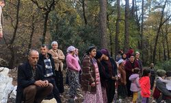 Zeytinlik ve Arıcılığa Bir Darbe Daha