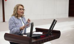 “Bu bütçe 86 milyonun değil, rant düzeninin bütçesidir”