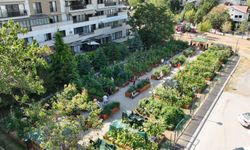 Çankaya’da Kent Bostanı Eğitimleri Başlıyor