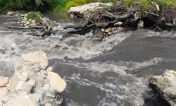 Nilüfer Çayı Alarm Veriyor, Tehlike Marmara’ya Taşınıyor!