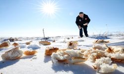 Adıyaman’da Yaban Hayvanları Unutulmadı: Doğaya Yem Bırakıldı