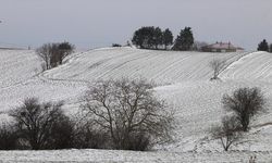 Trakya'da kar yağışı tarımı etkiledi