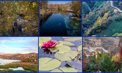 Türkiye son 55 yılın en sıcak 8. sonbaharını yaşadı