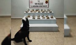 23 ilde uyuşturucu operasyonu!