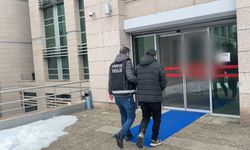 51 kilo esrarı 'Mailo' buldu