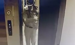 Adana’da Kuş Hırsızlığı Güvenlik Kamerasına Yansıdı