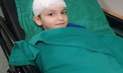 Ankara’da Sahipsiz Köpek Saldırısı Davasında 5 Milyon TL Karar