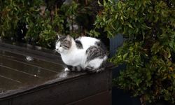 Antalya’da Sağanak Hayatı Felç Etti