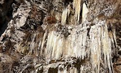 Ardahan’da Dondurucu Soğuk: Termometre Eksi 24,8’i Gördü