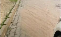 Aydın'da sağanak etkili oldu!